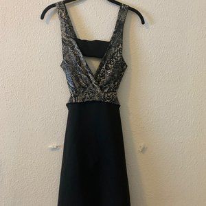 Mid length black & snake pattern dress.